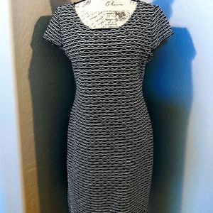 Sharagano Comfort Stretch Dress